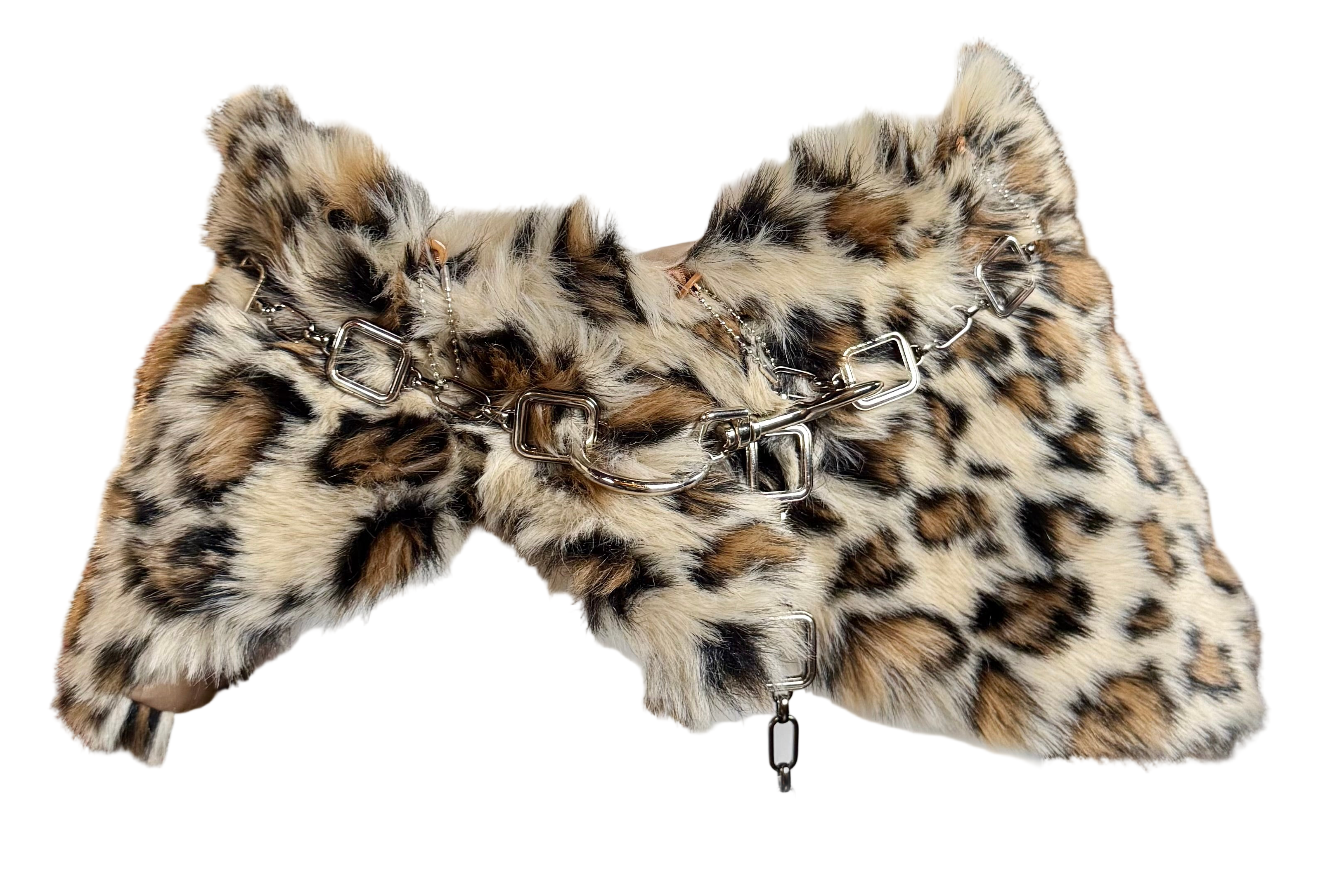 Eye of the tiger belt