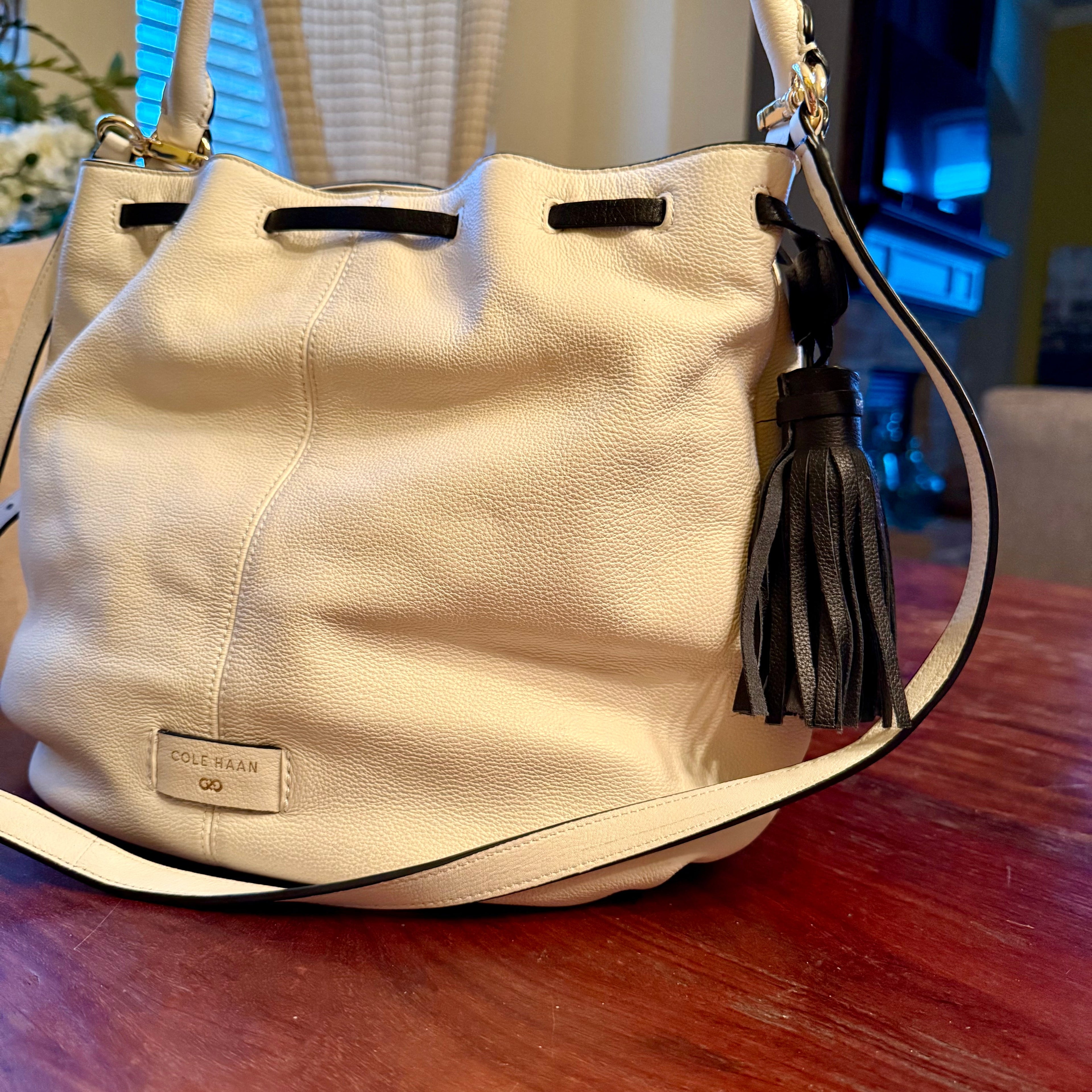 Anisa Convertible BucketCrossbody  | Cole HAAN