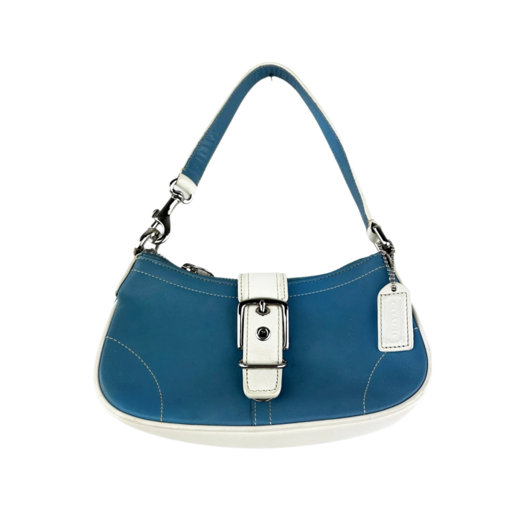 Coach Hampton Mini Bag