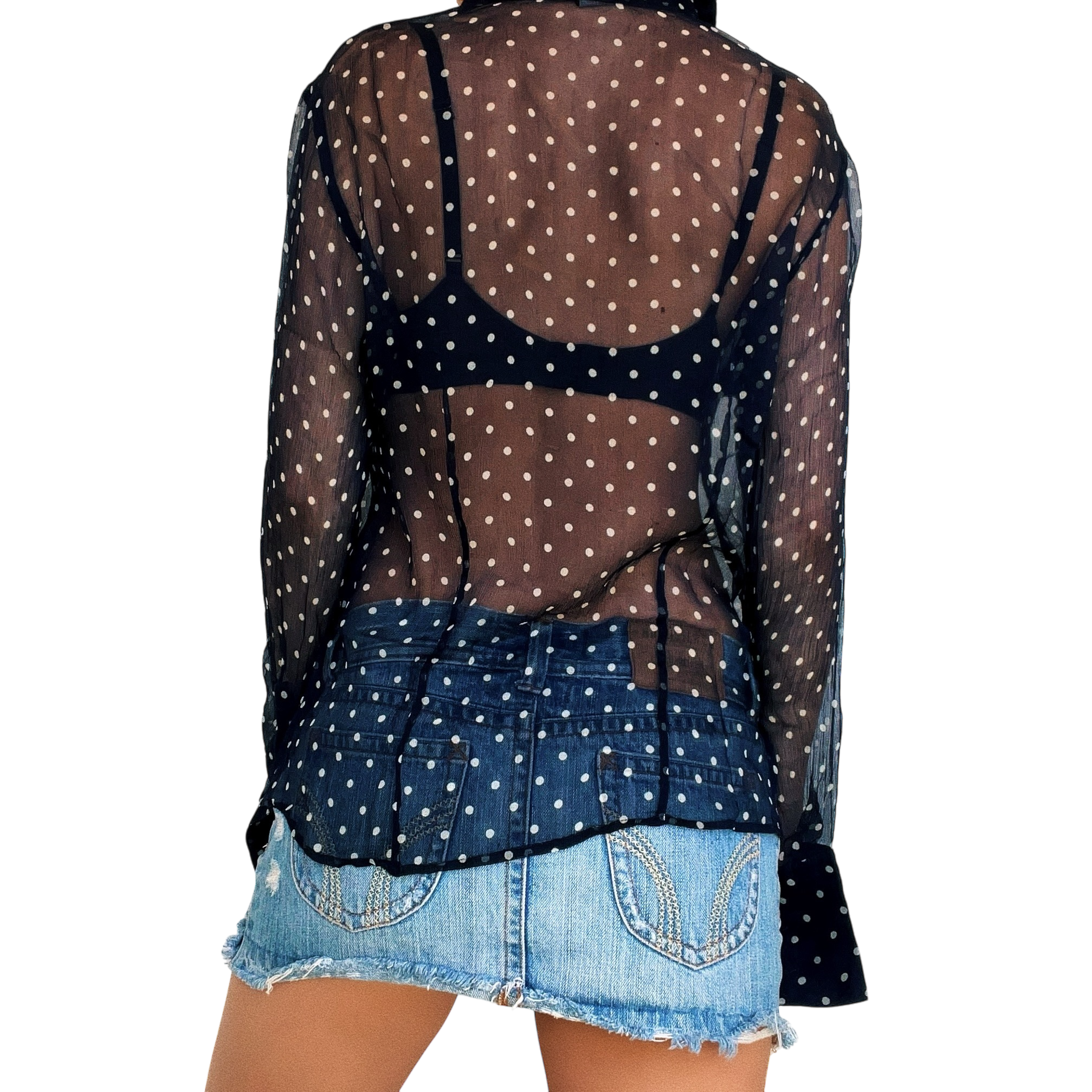 Sheer Silk Polkadot Blouse (S)