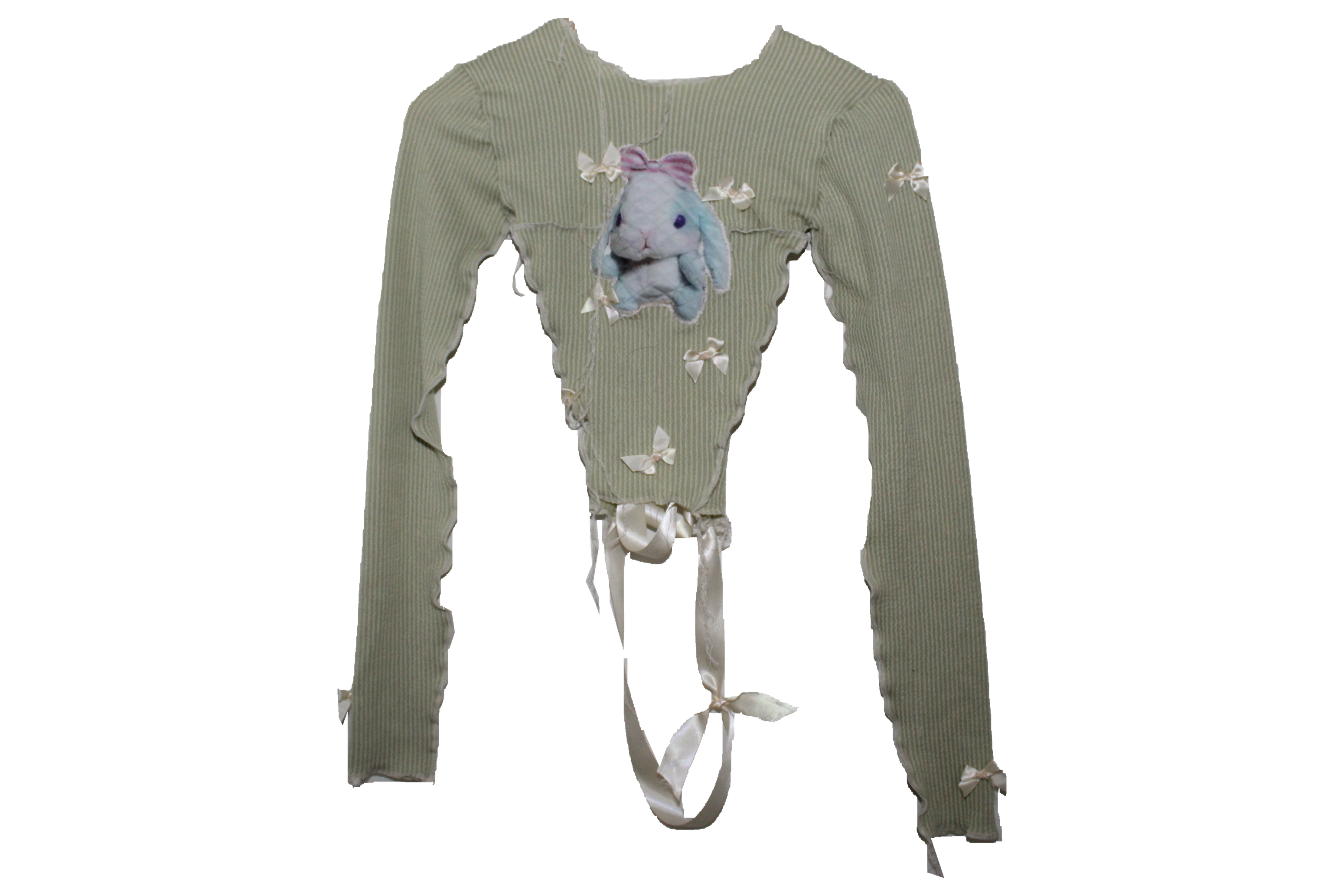 sticky rice green longsleeve .